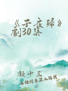 《子夜归》电视剧30集