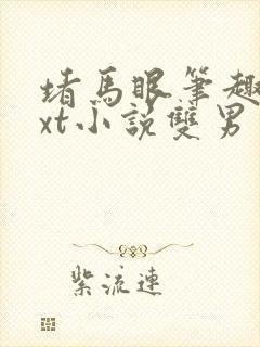 堵马眼笔趣阁txt小说双男