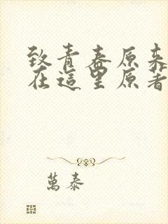 致青春原来你还在这里原著