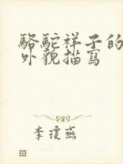 骆驼祥子的祥子外貌描写