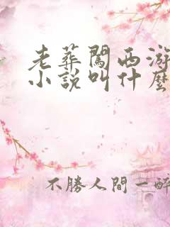 老葬闯西游原著小说叫什么名字