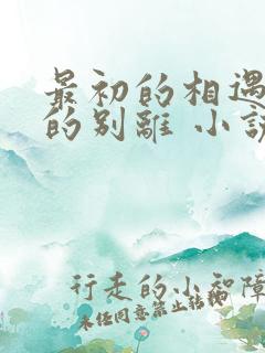 最初的相遇最后的别离 小说