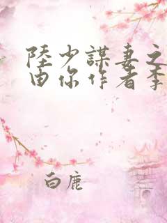 陆少谋妻之婚不由你作者李不言