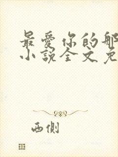 最爱你的那十年小说全文免费阅读