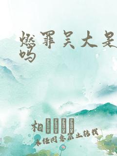 燃罪吴大是好人吗