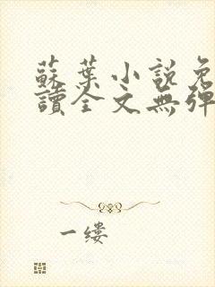 苏叶小说免费阅读全文无弹窗