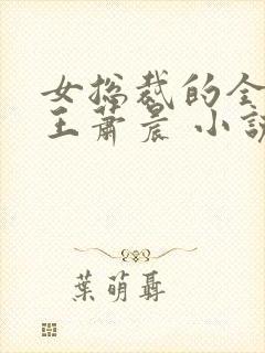 女总裁的全能兵王萧晨 小说