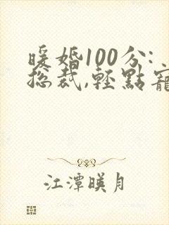 暖婚100分:总裁,轻点宠小说