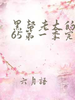 黑帮老大的我365第一季完整版免费