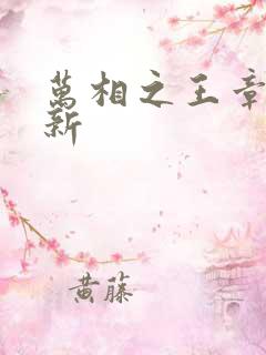 万相之王章节更新