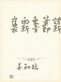 崔向东萧错小说最新章节新笔趣阁