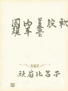 国内美股软件正规平台