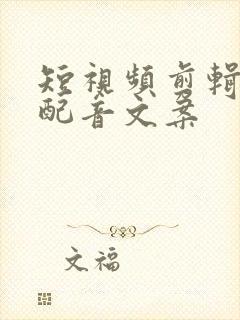 短视频剪辑解说配音文案