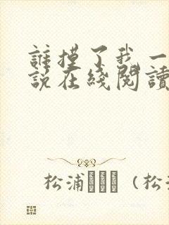 谁摸了我一下小说在线阅读