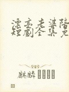 漂亮老婆陪过年短剧全集免费版