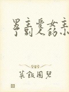 男主爱女主却娶了别人的小说