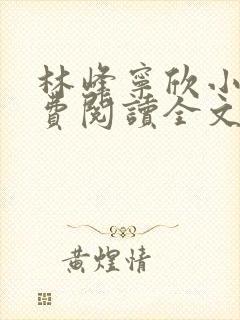 林峰宁欣小说免费阅读全文最新章节宁饮