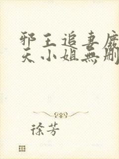 邪王追妻废材逆天小姐无删减