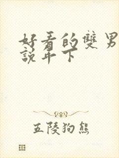 好看的双男主小说年下