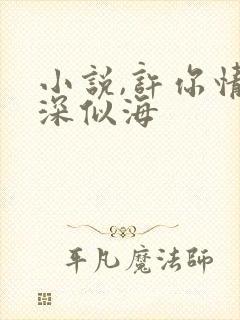 小说,许你情深深似海