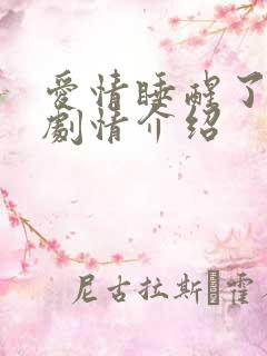 爱情睡醒了分集剧情介绍