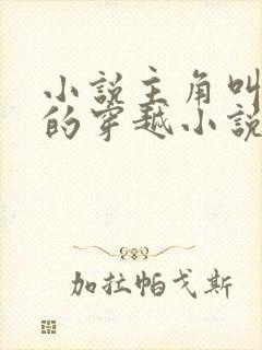 小说主角叫夏天的穿越小说