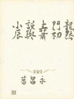 小说上门龙婿叶辰与萧初然