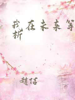 我在未来等你解析