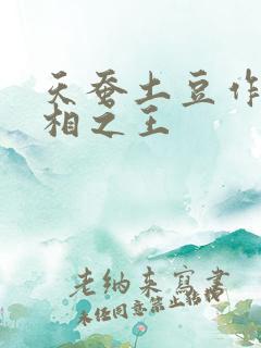 天蚕土豆作品万相之王