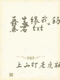 再生缘我的温柔暴君 txt