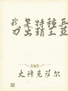 我是特种兵之利刃出鞘王亚东