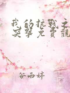 我的抗战之猎豹突击免费观看全集