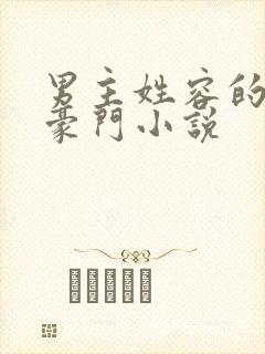 男主姓容的现代豪门小说