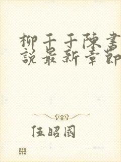 柳千千陈书恒小说最新章节更新