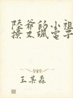 陆爷的小祖宗又撩又飒电子书