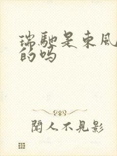 瑞驰是东风旗下的吗