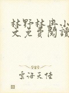 林野林冉小说全文免费阅读最新章节