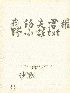 我的夫君权倾朝野小说txt