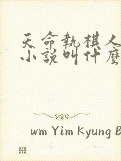 天命执棋人原著小说叫什么名字