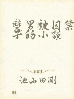 双男被囚禁还生子的小说