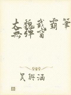 大魏武霸笔趣阁无弹窗