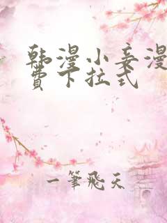 韩漫小妾漫画免费下拉式