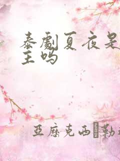 泰剧夏夜是双男主吗