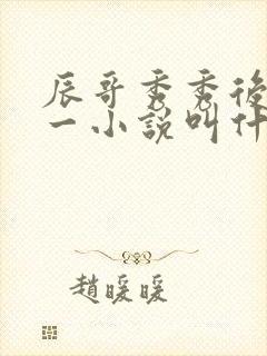 辰哥秀秀后妈第一小说叫什么名字