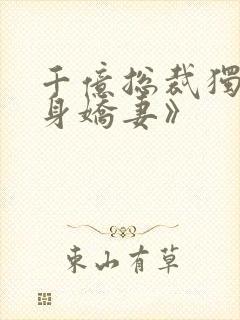 千亿总裁独宠替身娇妻》