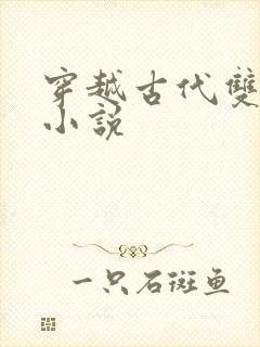 穿越古代双男主小说