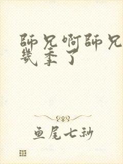 师兄啊师兄出了几季了