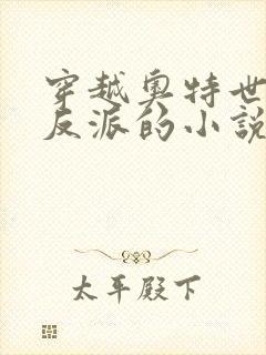 穿越奥特世界当反派的小说