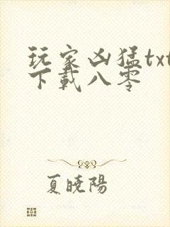 玩家凶猛txt下载八零