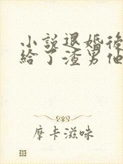 小说退婚后我嫁给了渣男他叔